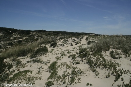 Coastal habitats