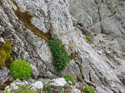 Inland habitats with no or little soil and mostly with sparse vegetation