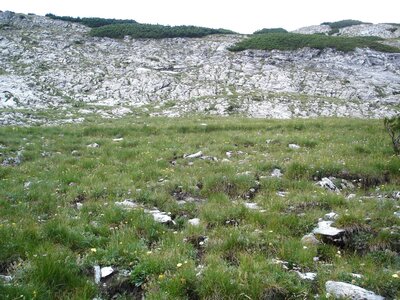 Alpine and subalpine calcareous grassland of the Balkans and Apennines