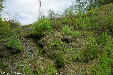 Heavy-metal grassland in Western and Central Europe