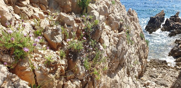 Mediterranean base-rich inland cliff