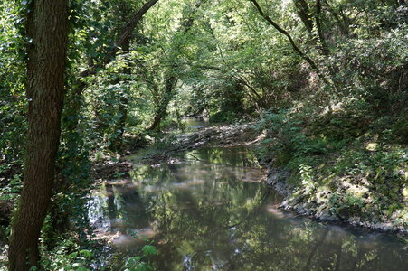 Alnus glutinosa-Alnus incana forest on riparian and mineral soils