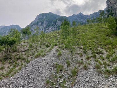 Temperate, lowland to montane base-rich scree
